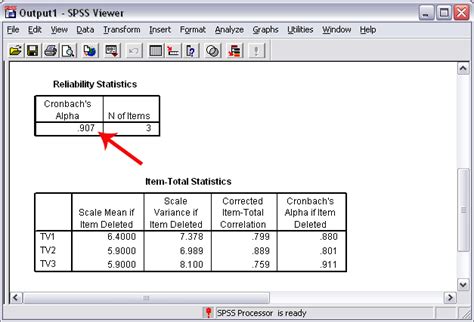 how is cronbach's alpha reported|Cronbach’s Alpha: Definition, Interpretation, SPSS.
